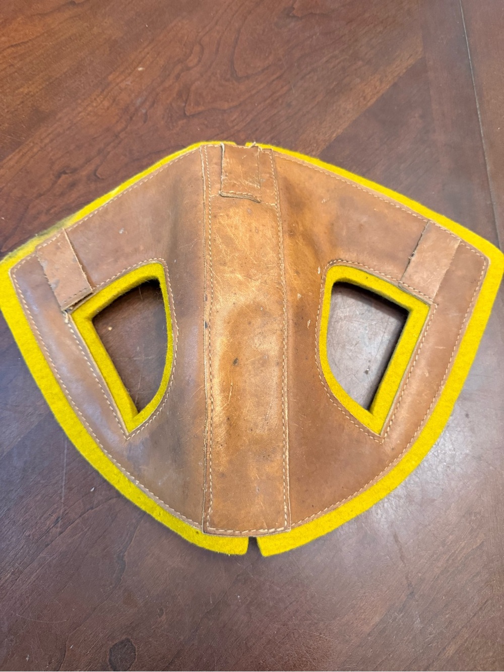 Equestrian item : Horse size HEAD protective Bumper for trailering use on halter